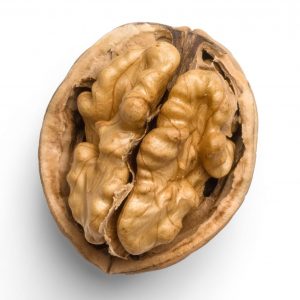 walnut scaled e1586034009199