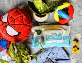 5 best plant based baby wipes in India under 300 rupees